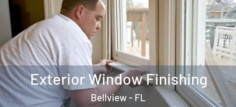  Exterior Window Finishing Bellview - FL
