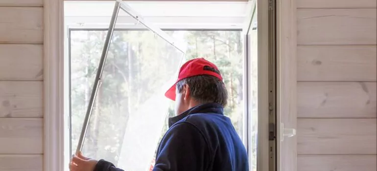 Expandable Window Screen Installation in Bellview, FL