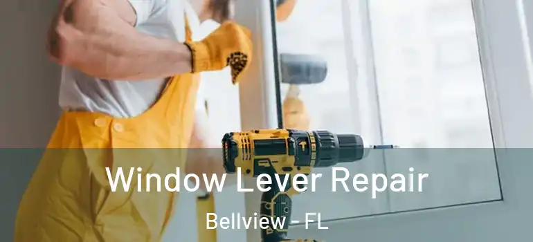  Window Lever Repair Bellview - FL