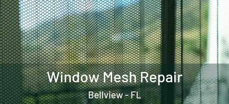  Window Mesh Repair Bellview - FL
